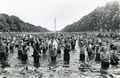 Protest: Image